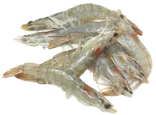 CREVETTES CRUES 51/60 6KG