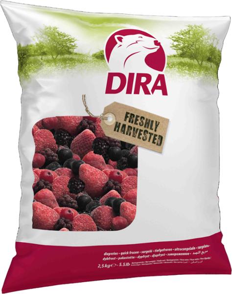 COCKTAIL FRUIT DES BOIS 1KG