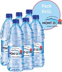 EAU MONT-DORE 1L